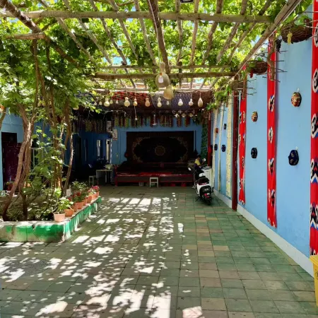 Fengxing Homestay (Putao Valley Scenic Area)