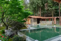 Tree Summer 13 · Summer Wood Forest Oxygen Healing Inn (Ya’an Bifen Gorge Branch) - Rooftop Pools