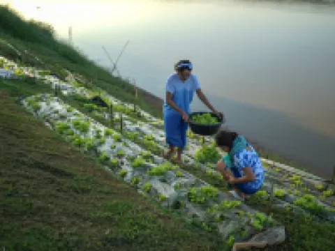 チアンカーン リバー マウンテン リゾート チェンカーンのホテル