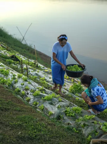 รูปภาพของเชียงคาน ริเวอร์ เมาท์เทน รีสอร์ท