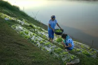 Chiangkhan River Mountain Resort Các khách sạn ở 