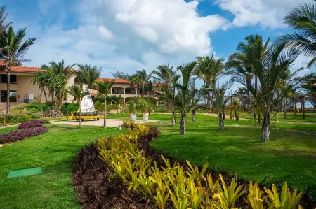 Sun City Rota Das Emoções