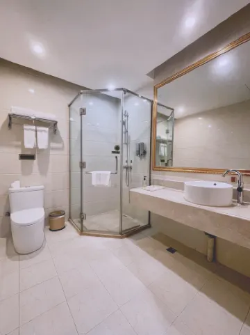 維也納飯店（上海金都路店）