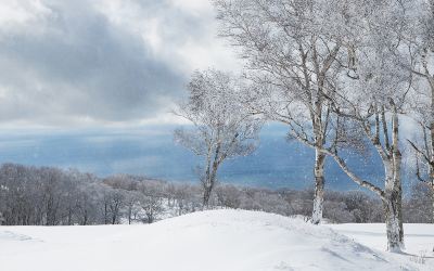 ホテル周辺 ザ・ウィンザーホテル洞爺リゾート & スパの写真