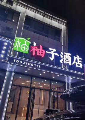 Youzi Hotel Hotels in East Ujimqin Banner