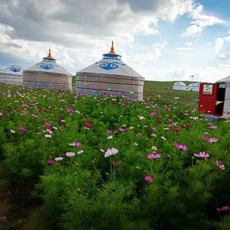 Damao Banner Talin Eji Resort (Xilamuren)