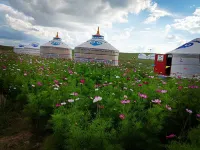 Damao Banner Talin Eji Resort (Xilamuren)