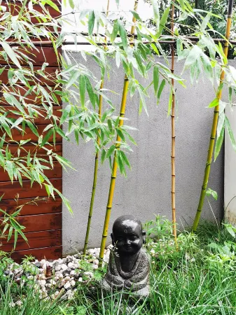 palace hotel Отели в г. Ланьтянь