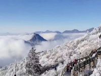 西岭雪山枫叶酒店 - 套房