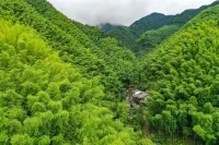 Quzhou Baoshan Academy Theme Guesthouse - خدمة نقل من وإلى المطار