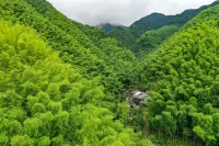 Quzhou Baoshan Academy Theme Guesthouse