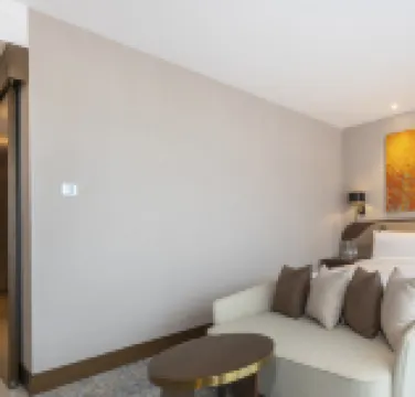 阿拉木圖阿拉套瑞士療養度假酒店