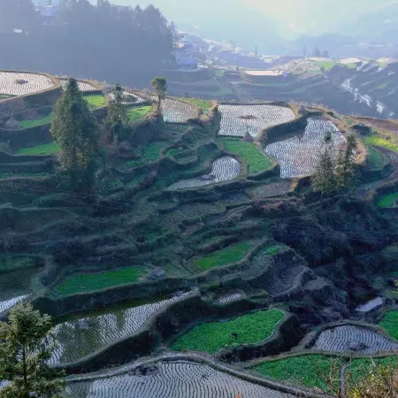 Zhaoxing Creedside Inn