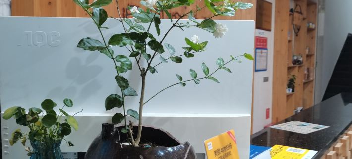 Wuqi Inn Hoteles en Guixi
