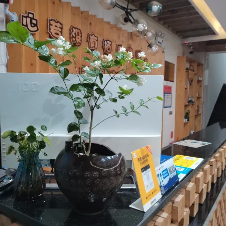 Wuqi Inn