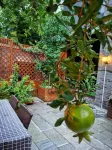 YiZhiJian homestay