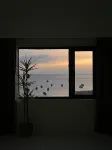 Zai Daoshang Homestay (Nan'ao Island Houzhai) Hotels near Soldiers Recruit Tree
