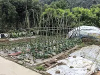 Qingtangou Homestay - ที่มีบาร์