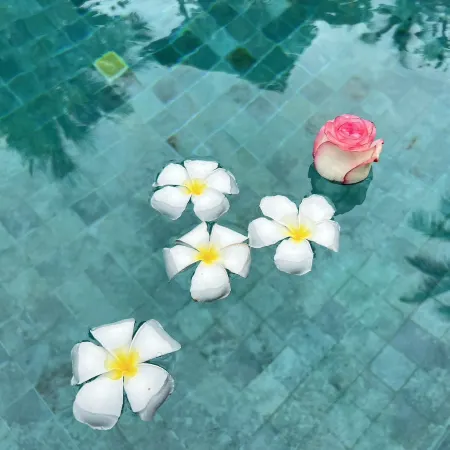 Chill Lay Resort Donsak