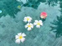 Chill Lay Resort Donsak - Bãi đậu xe