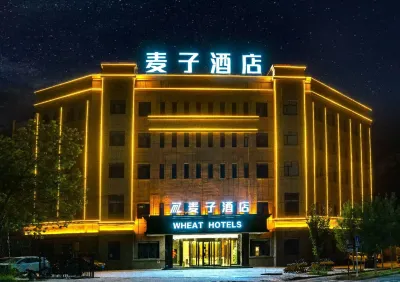 鄯善麥子飯店（庫木塔格沙漠店）