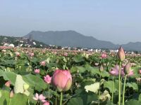 九华山如韵宾馆 - 酒店附近