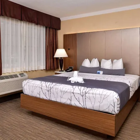 Best Western Hollywood Plaza Inn Hotel - Hollywood Walk of Fame La Отели рядом с достопримечательностью «Юниверсал-Сити»