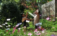Wentangzhen Jundi Life Boutique Inn
