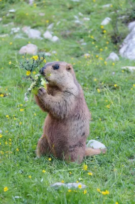 Yongxinde Shangjing Hotel Photos