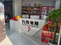 jiuxiaodianjing