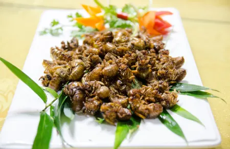 Zhuquan Village Scenic Area Hostel Отели рядом с достопримечательностью «Yinan Hanmu Museum»