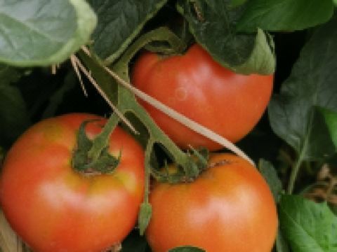 上海书院人精品民宿 - 其他