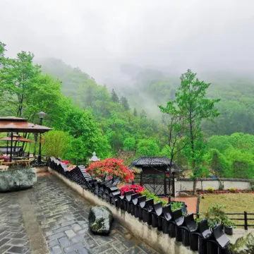 Group 3, Yinchanggou Village, Xichahe Town, Foping County, Shaanxi Province, China