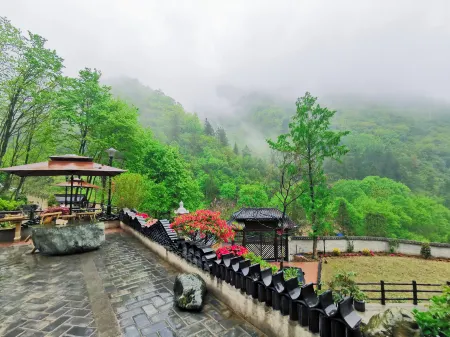 Group 3, Yinchanggou Village, Xichahe Town, Foping County, Shaanxi Province, China