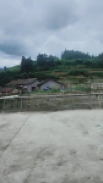 Zhanggu Yingxuan Homestay