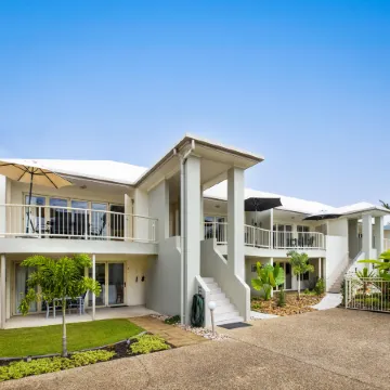 Noosa River Palms