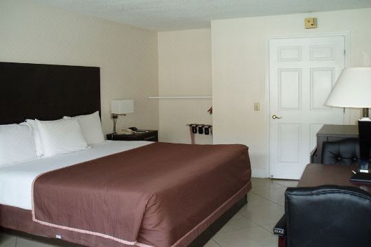 3. 레드 카펫 인 ..