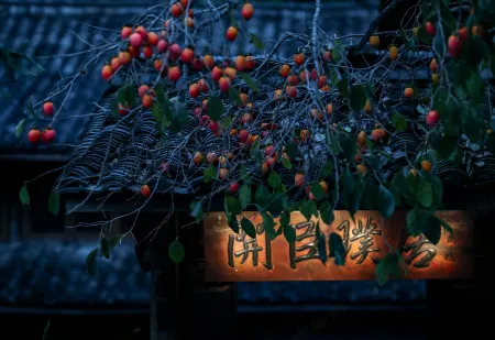 Kasion Puju Guesthouse Отели рядом с достопримечательностью «Anfu Temple (liubowengulilvyoujingqu)»