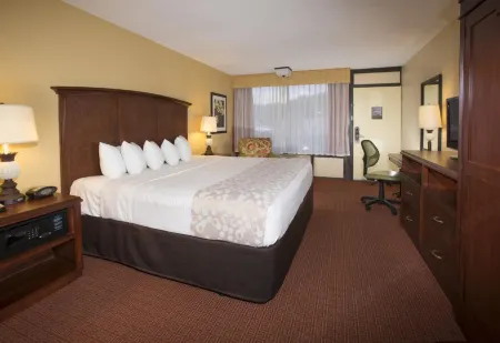 Rosen Inn Lake Buena Vista