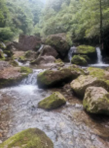 Qiyexianyuan (Qingcheng Rear Mountain)