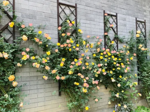 Deyang Defulai Hotel