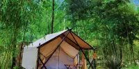 Panda‘s forest homestay - PANDA GLAMPING TURCA TUBLE