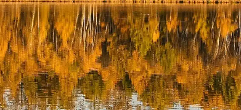 โรงแรมในอำเภอ ลำทับ