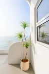Dongshan Island Ziyun Chuanfang B&B (Nanmenwan Branch) - Romantic