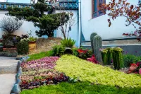 Yuexi | Warmtoned Zhenshan Tingfeng | Luxury Smart Homestay (Dali Ancient City Erhai Branch)