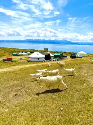 Sailimu Lake Yingkesong Hotel - Homestays