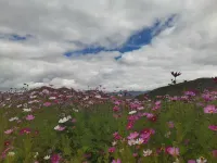 麗楓溫泉酒店 - 山景