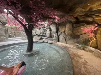 Nanqiao Qingcheng Hot Spring & Cinema Hotel (Dujiangyan Scenic Area Branch) - 2-stjärniga