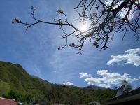 百花山笑笑客栈 - 酒店景观