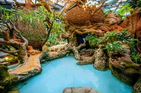 Wyndham Grand Plaza Royale Peach Blossom Hot Springs Resort Hunan - Hot Springs